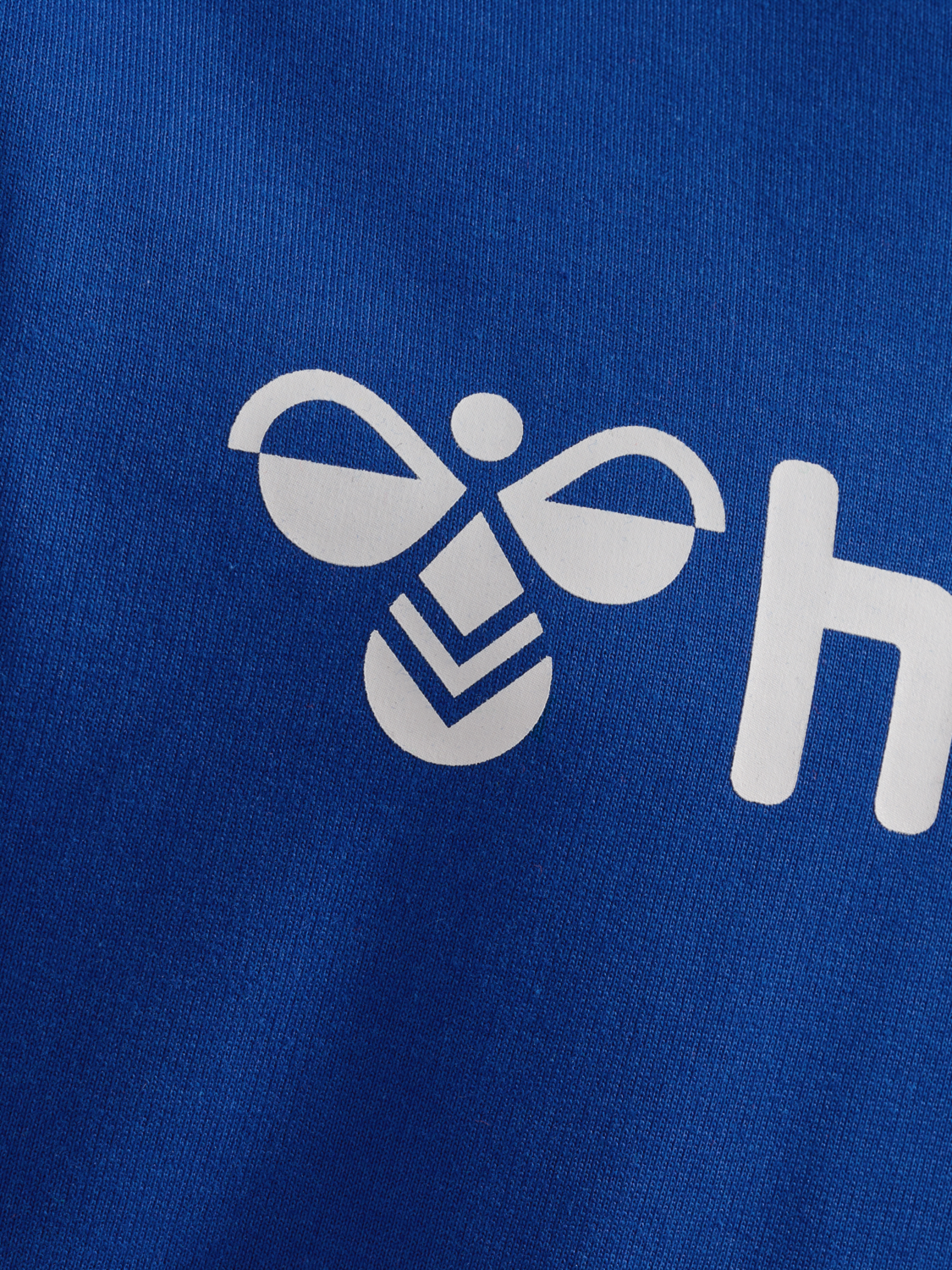 hmlGO 2.0 LOGO HOODIE KIDS