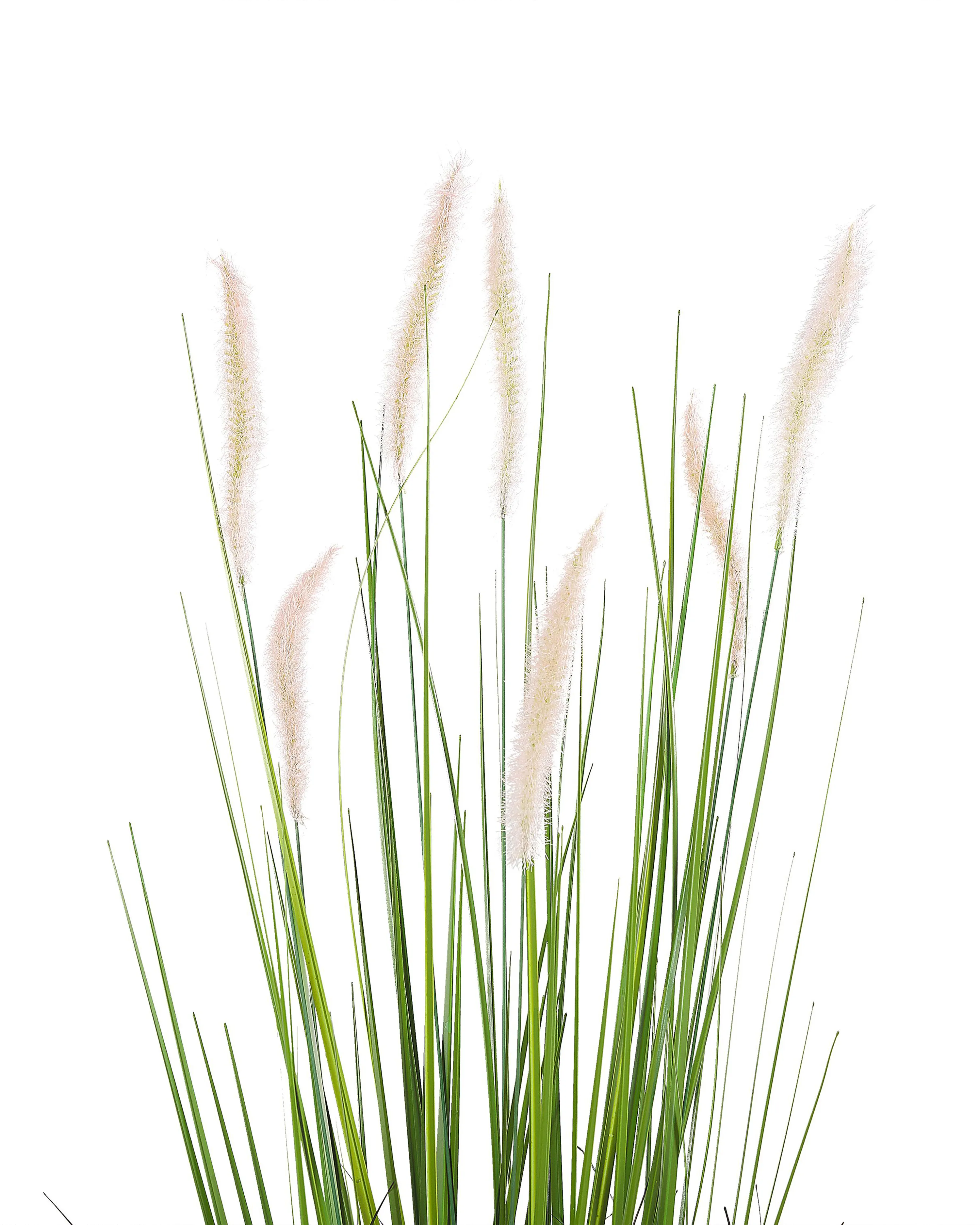 Kunstplant REED PLANT 87 cm Groen