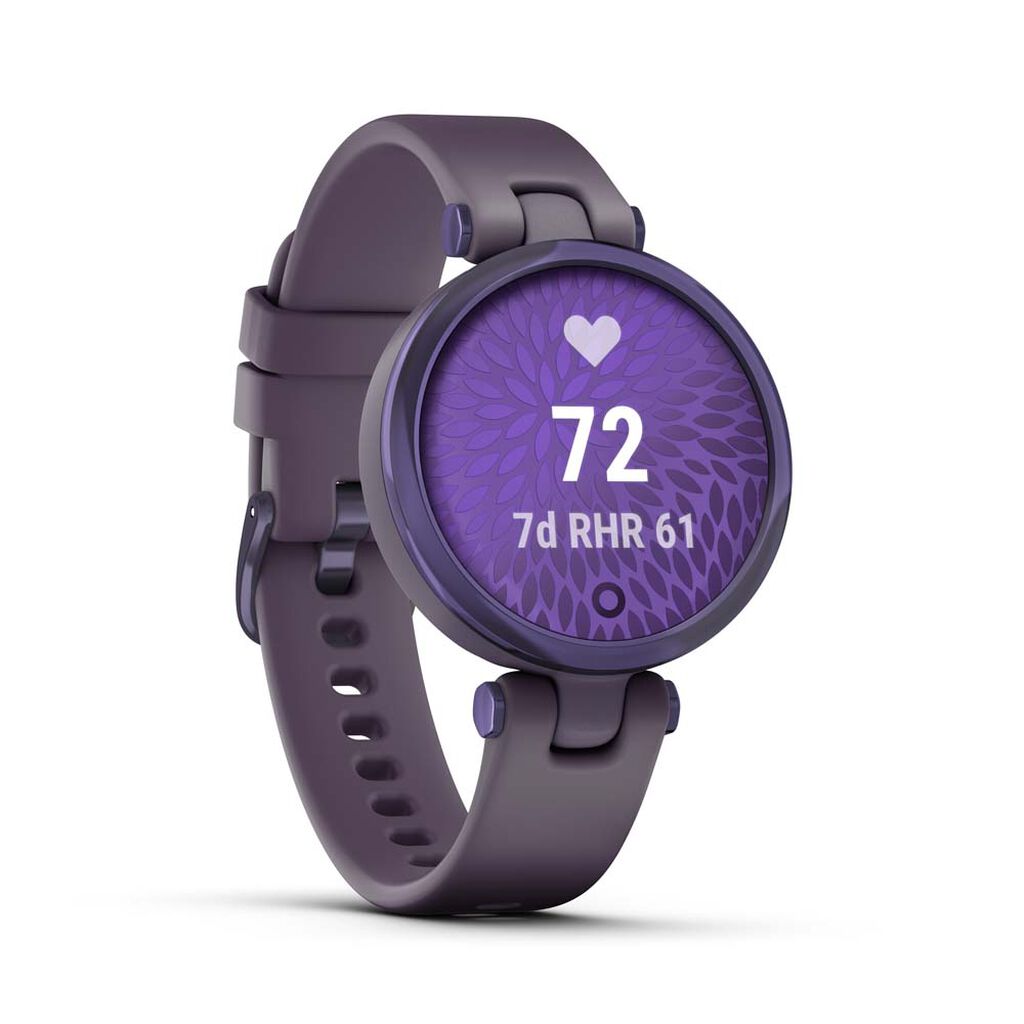 Montre Connectée Garmin Lily
