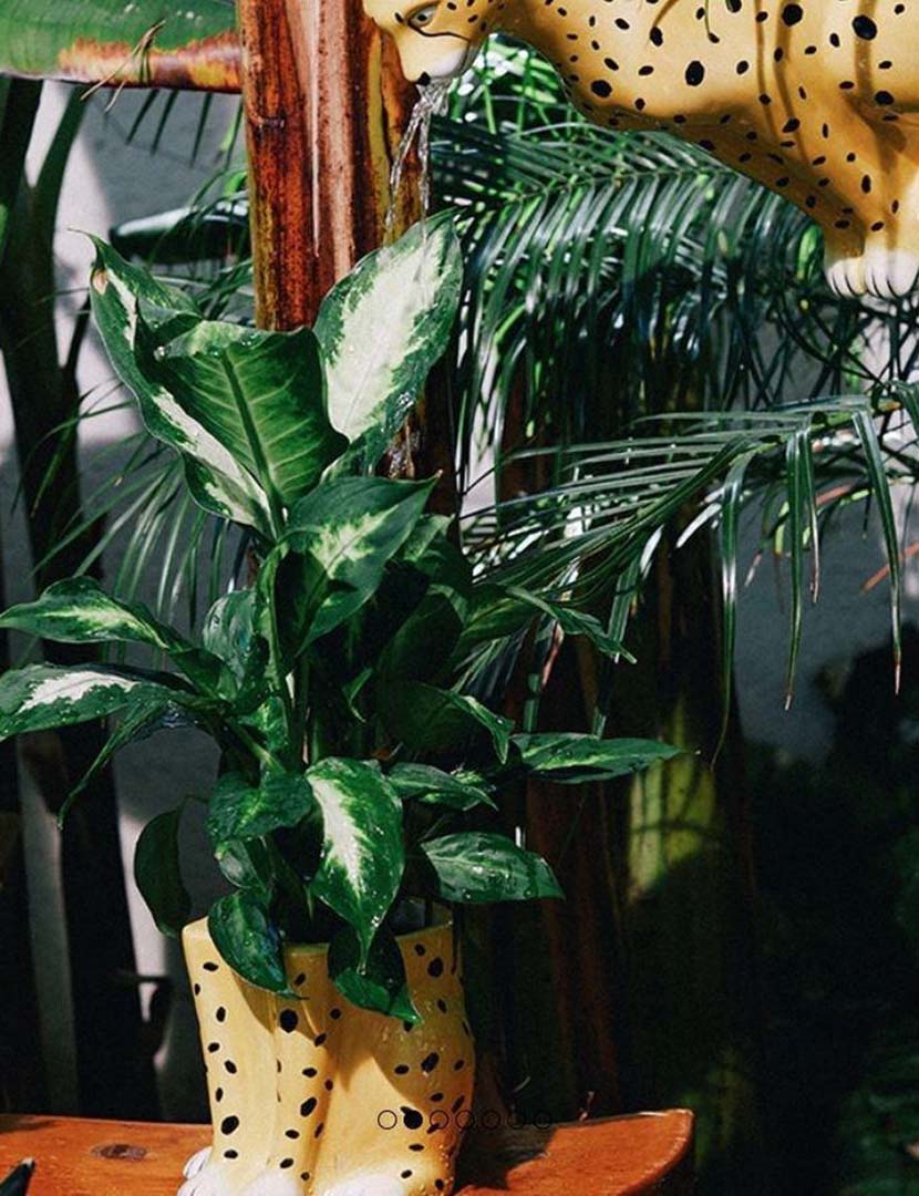 Urban Jungle Cheetah Pot