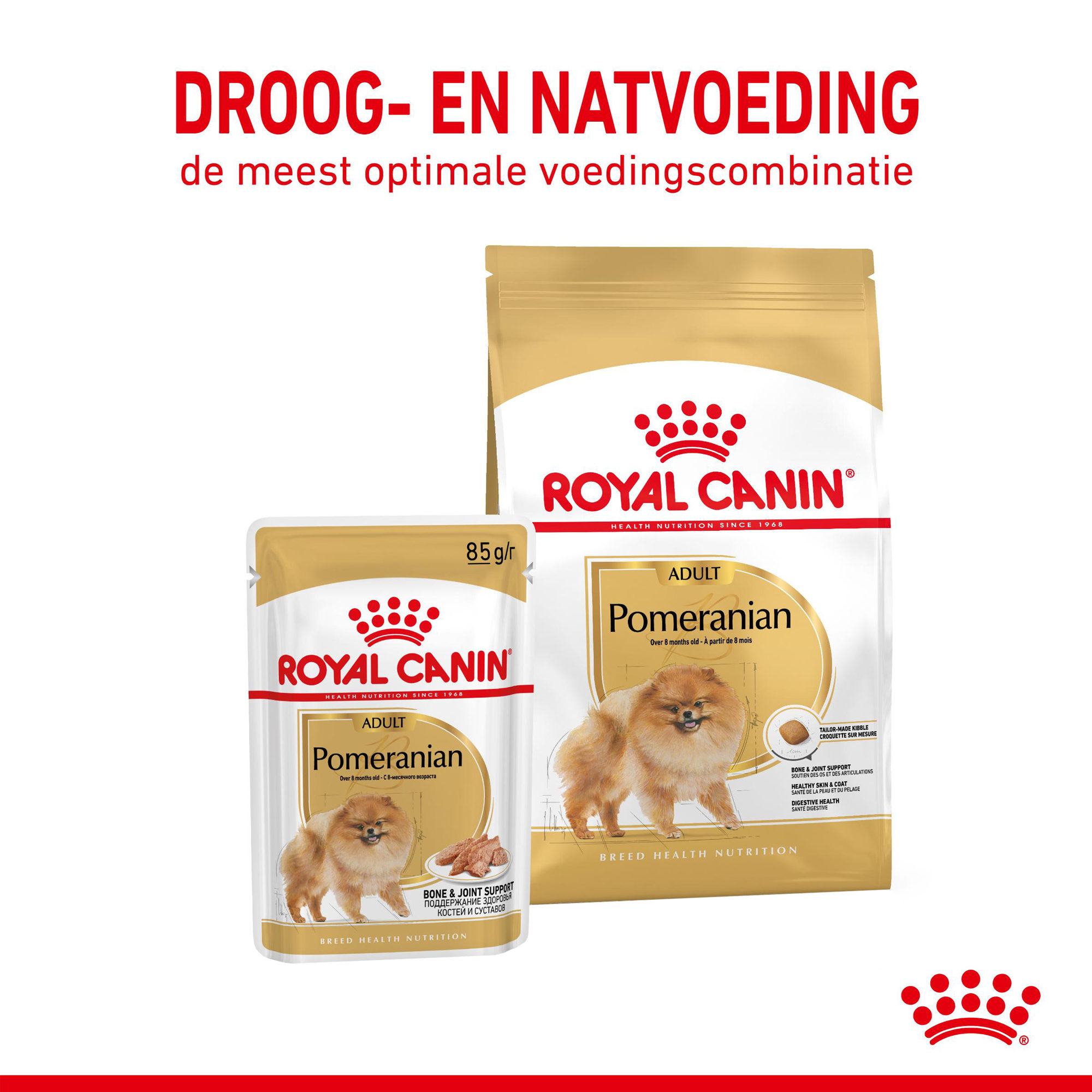 Royal Canin Pomeranian Adult - Hondenvoer