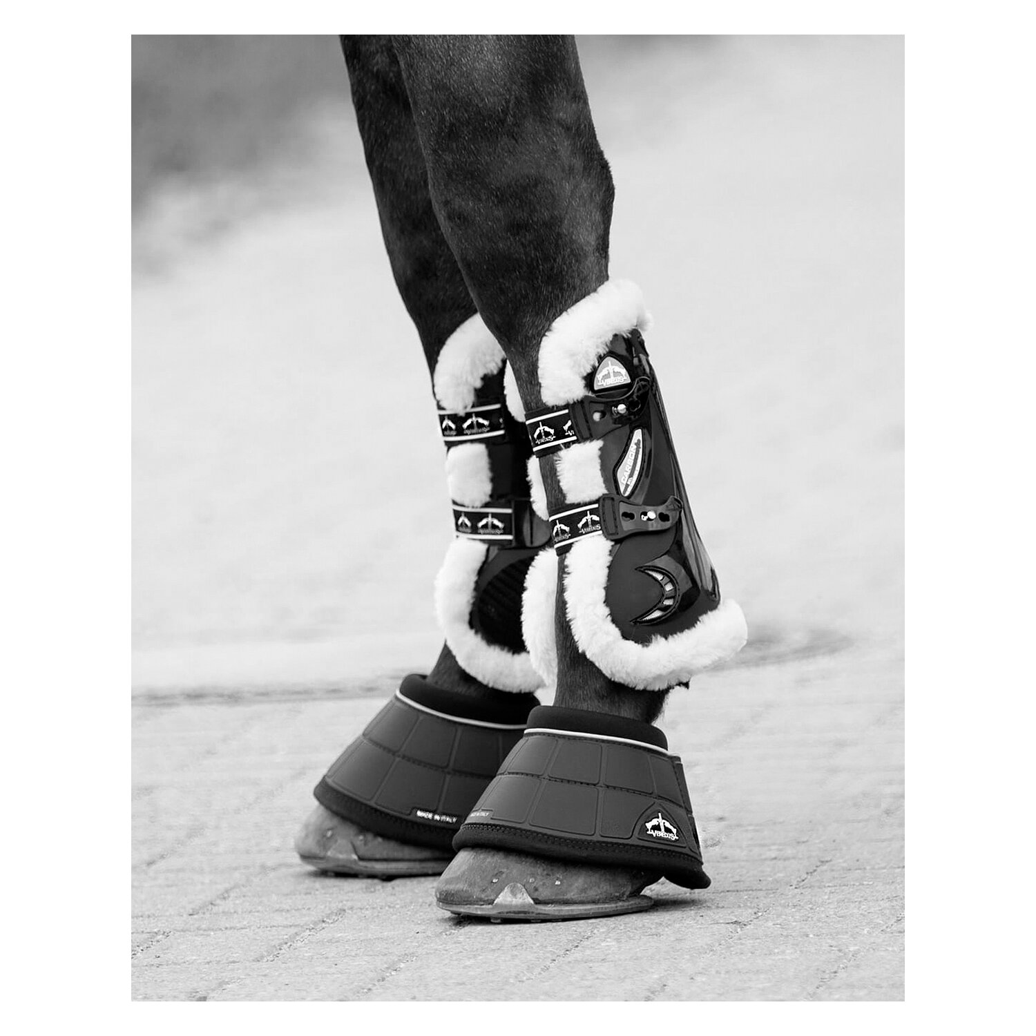 VEREDUS Gamaschen Carbon Gel Vento Save the Sheep, für die Vorderbeine  - black