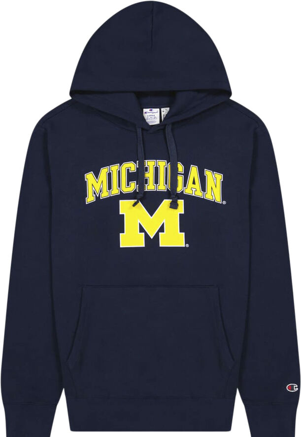 Champion hooded sweatshirt Blue