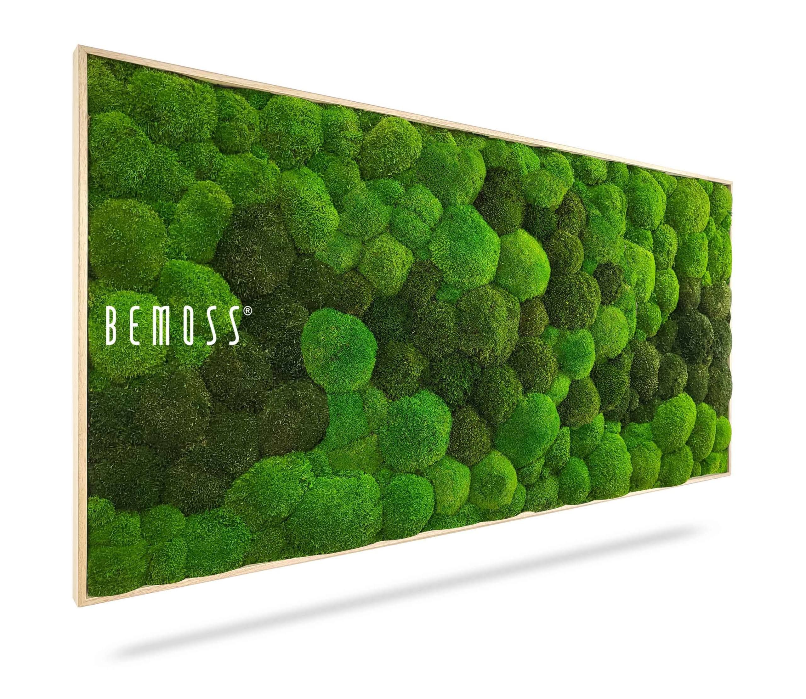 bemoss Moosbild KUGELMOOS DUO Green