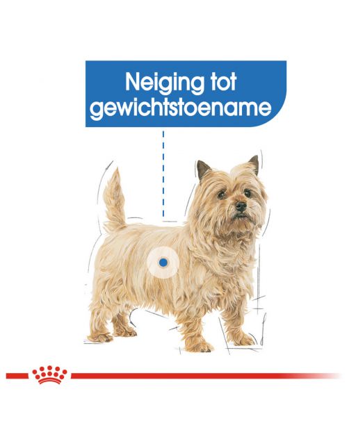 Royal Canin Light Weight Care Mini - Hondenvoer