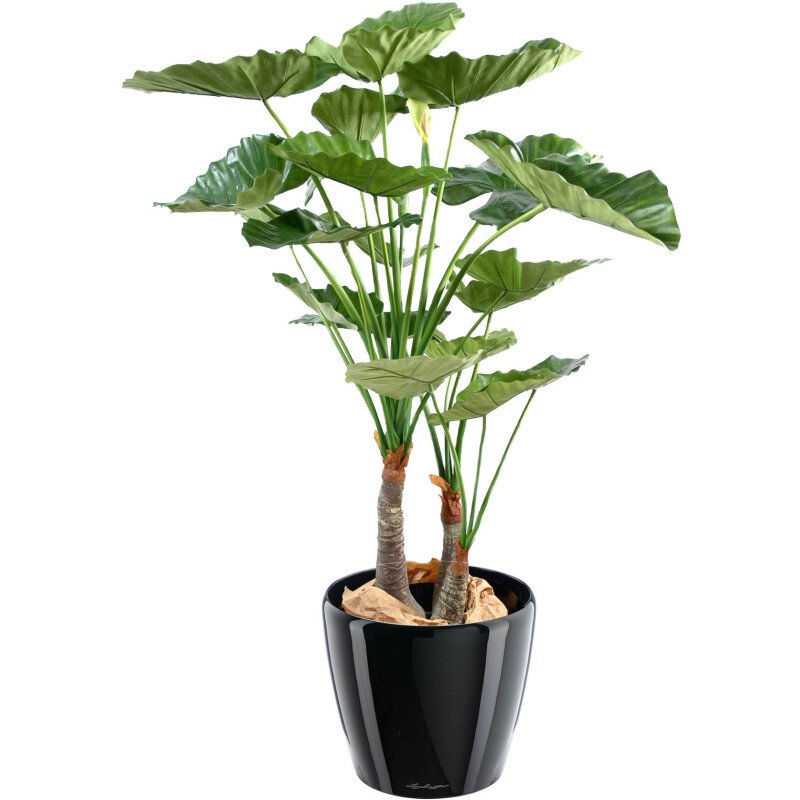 Plante artificielle d'intérieur Alocasia Calidora 120 cm