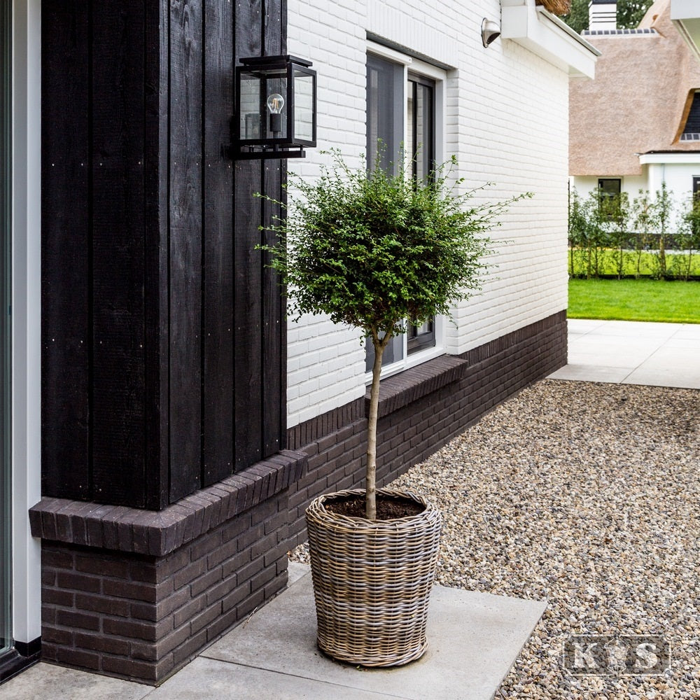 KS Verlichting  De Vecht Wandlamp