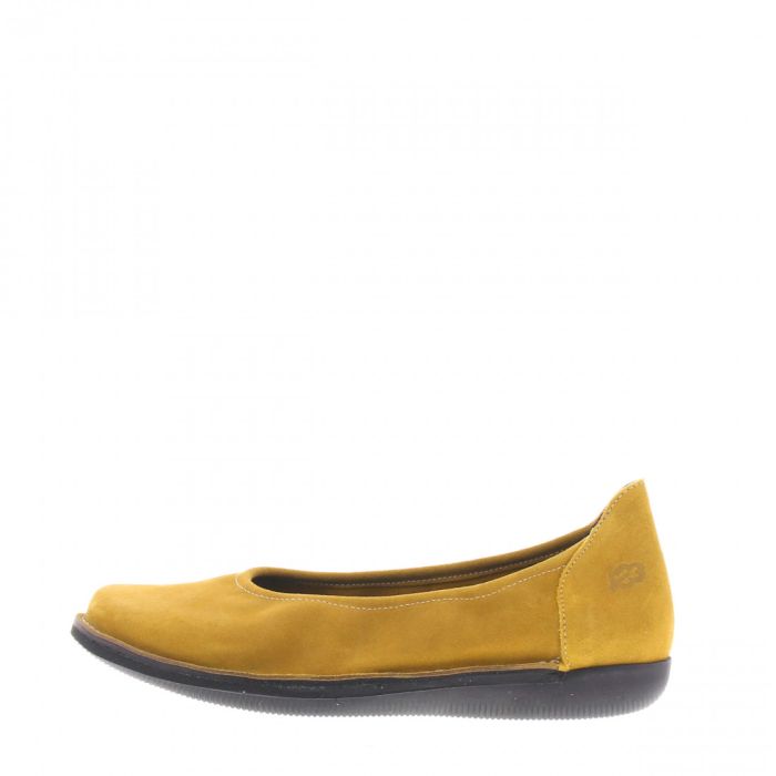 Nessersluis black sole
