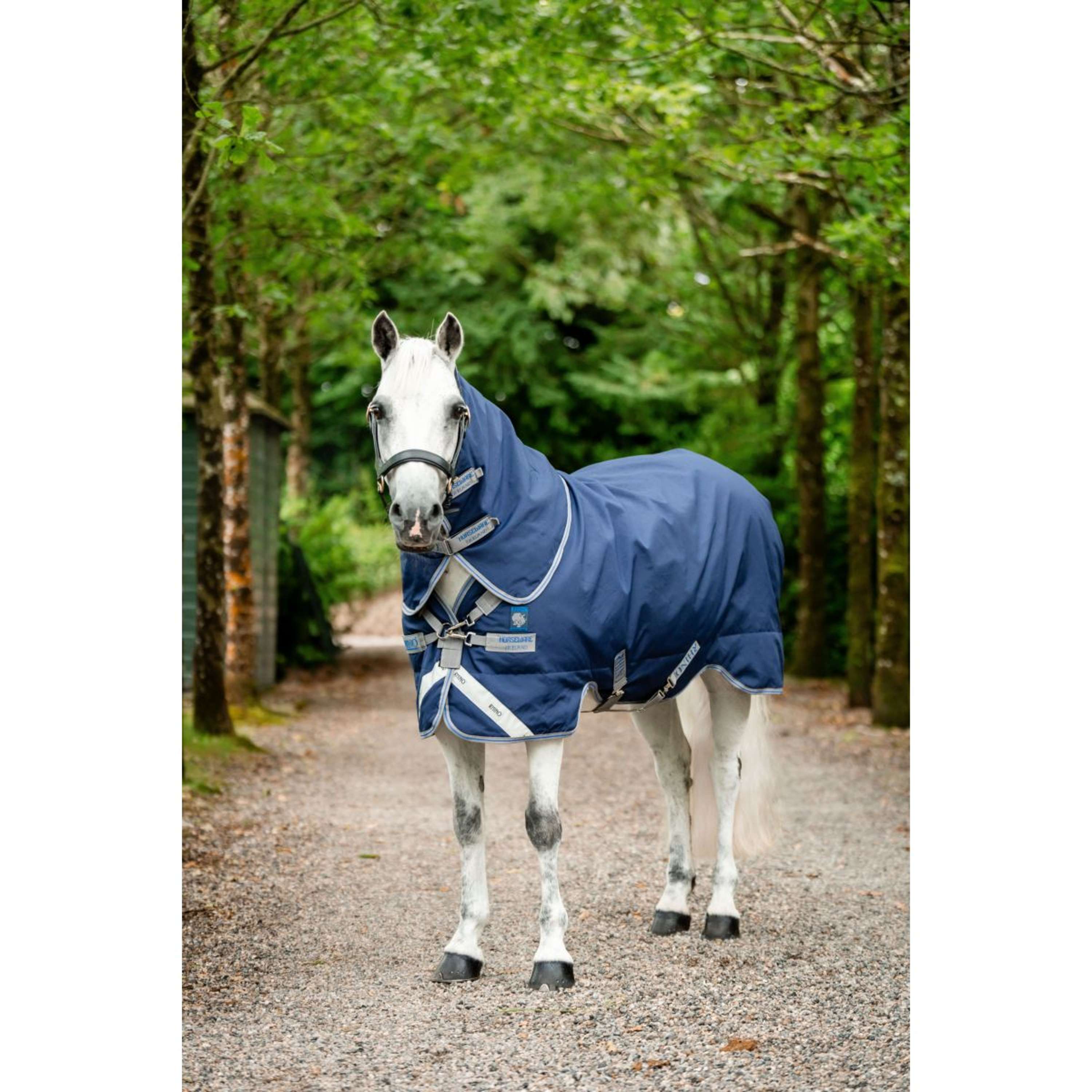Rhino Pony Plus Lite 0g Navy/Titanium Grey