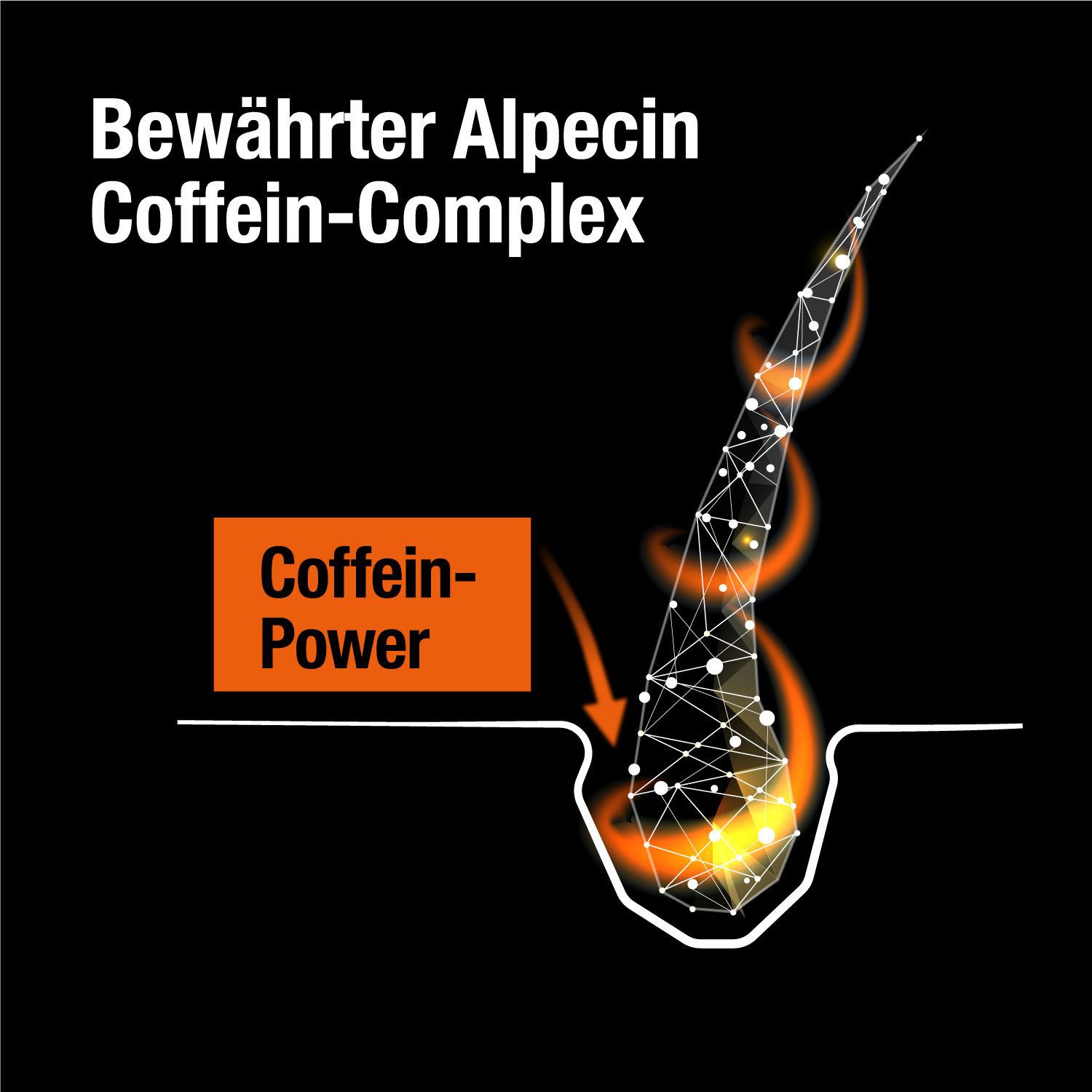 Alpecin Caffeine Hair Booster