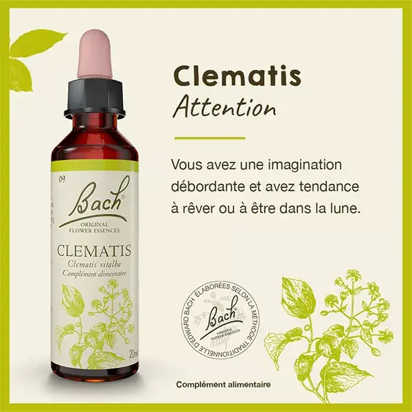 Florais de Bach Originais - Clematis 20ml
