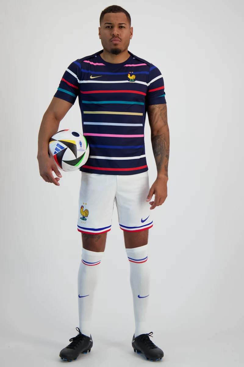 Nike Frankreich Home Academy Pro Herren T-Shirt
