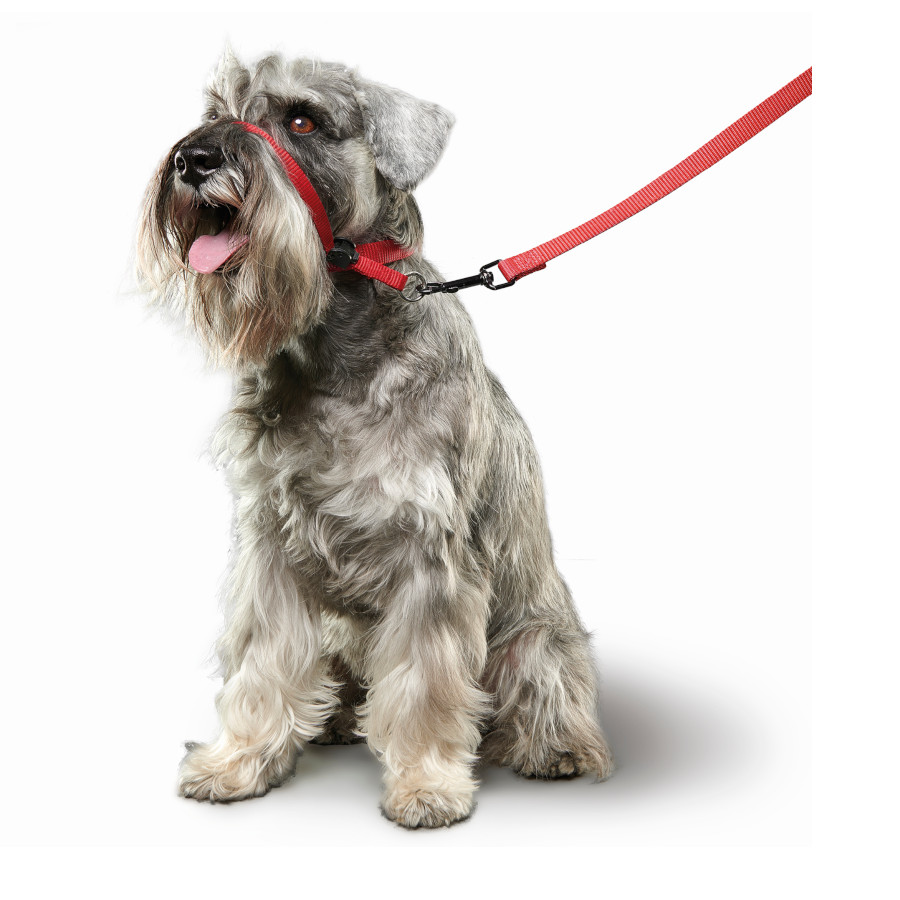 Coleira de treinamento Beaphar Gentle Leader vermelha para cães