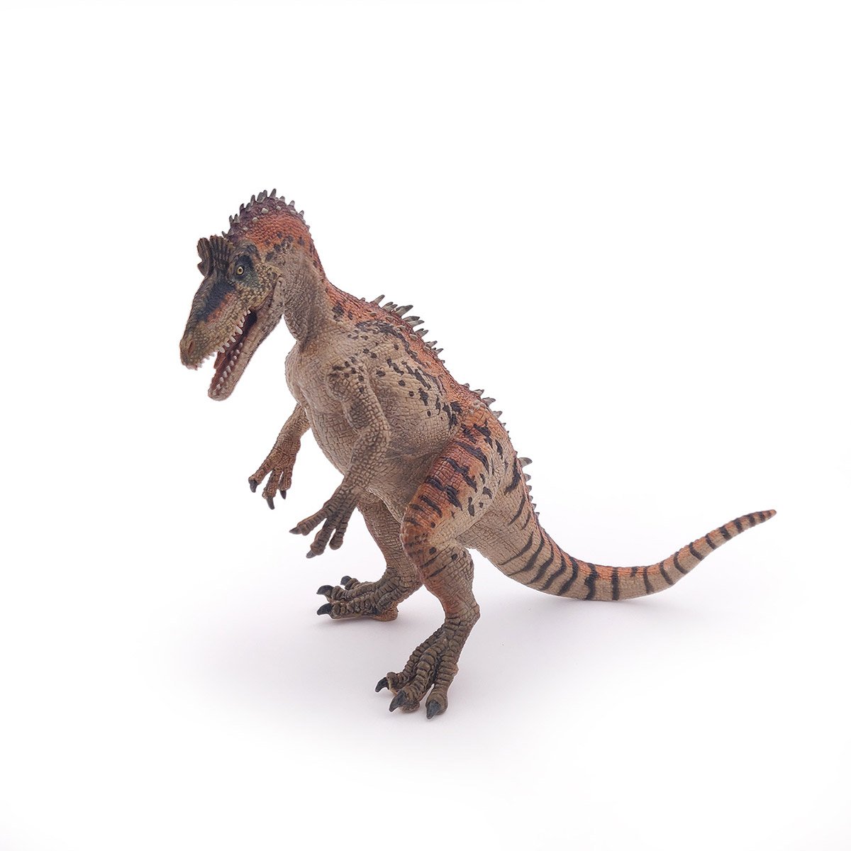 Figurine Dinosaure : Cryolophosaurus