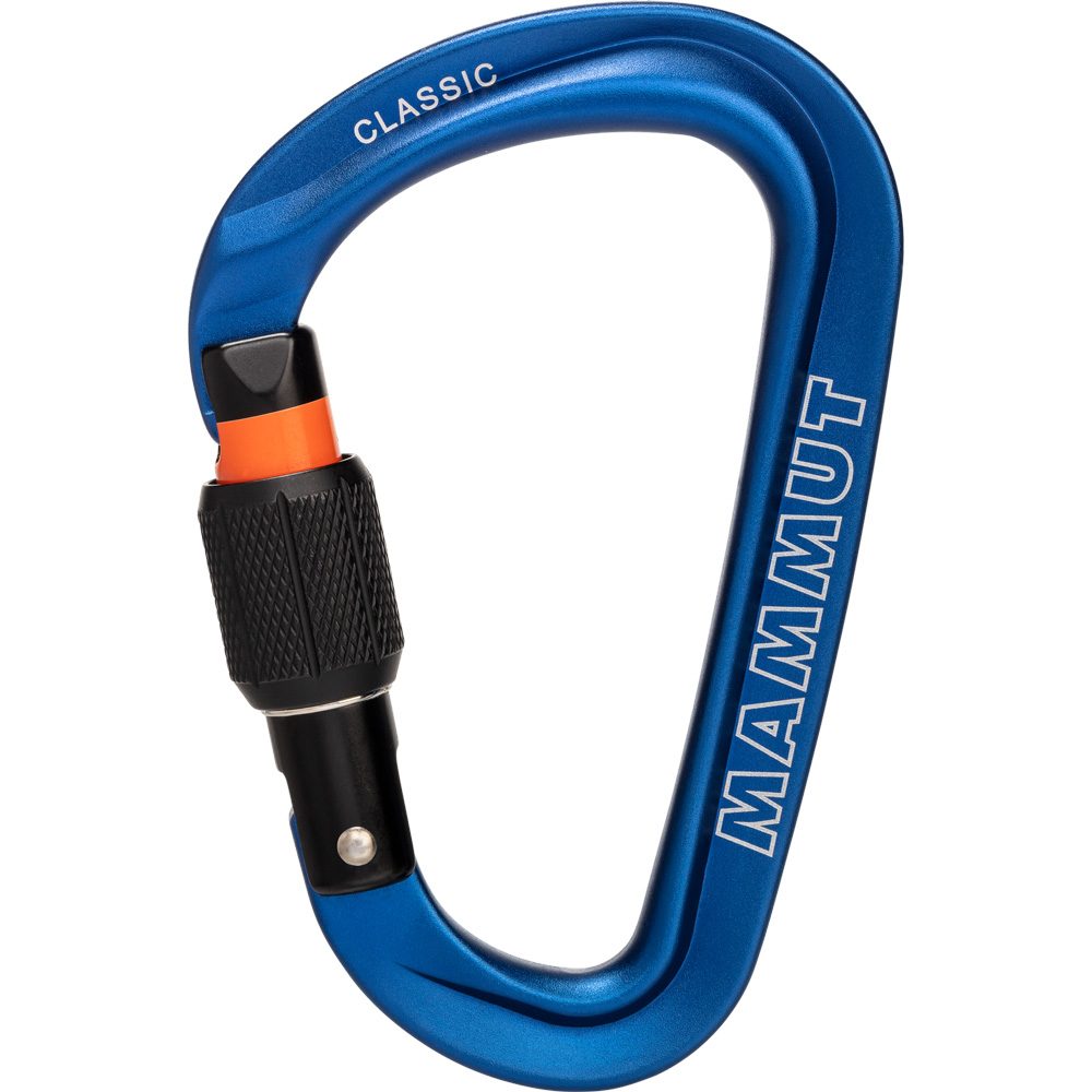 Mammut Classic HMS Screwgate Carabiner blau