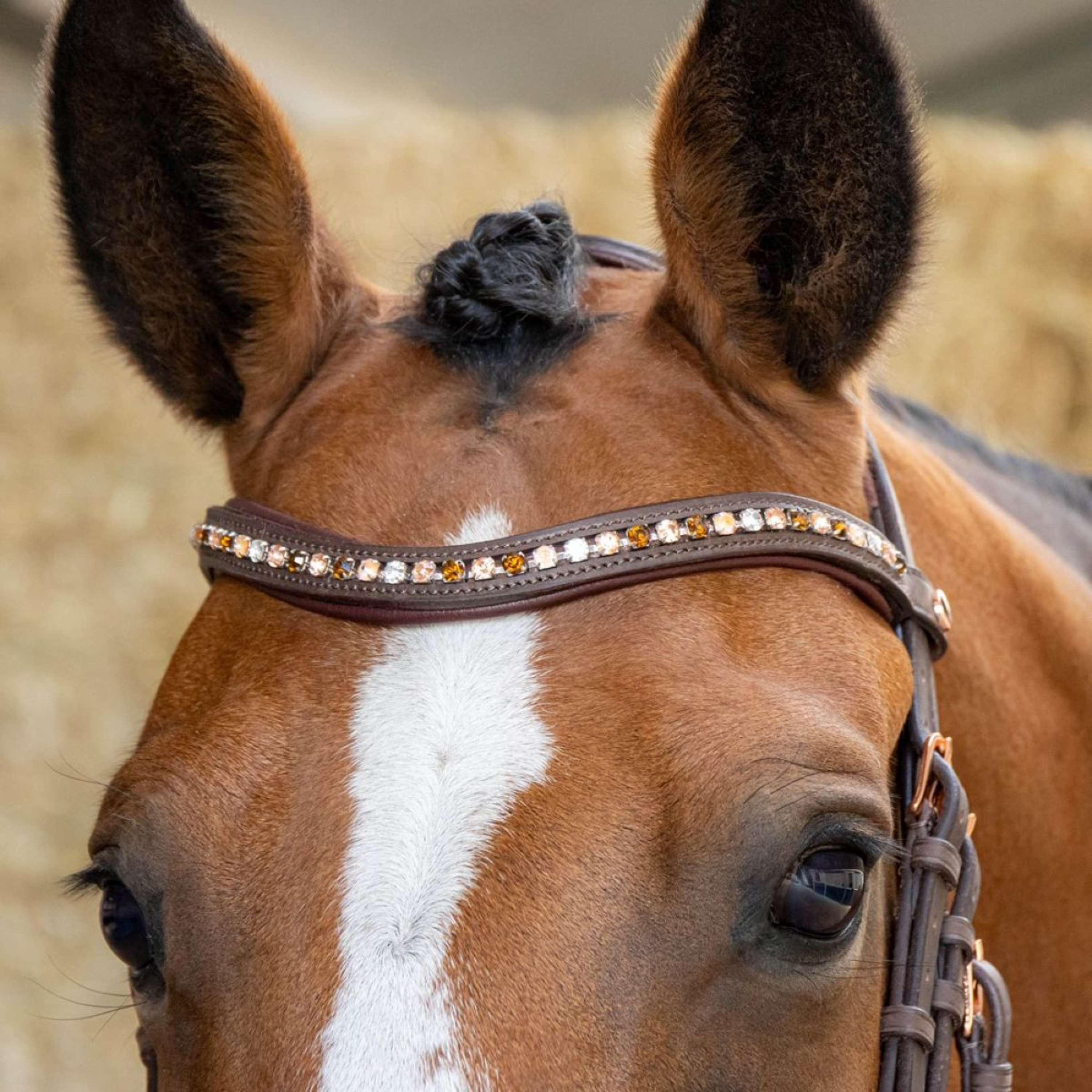 Harry's Horse Hoofdstel Bombastic Crystals Bruin