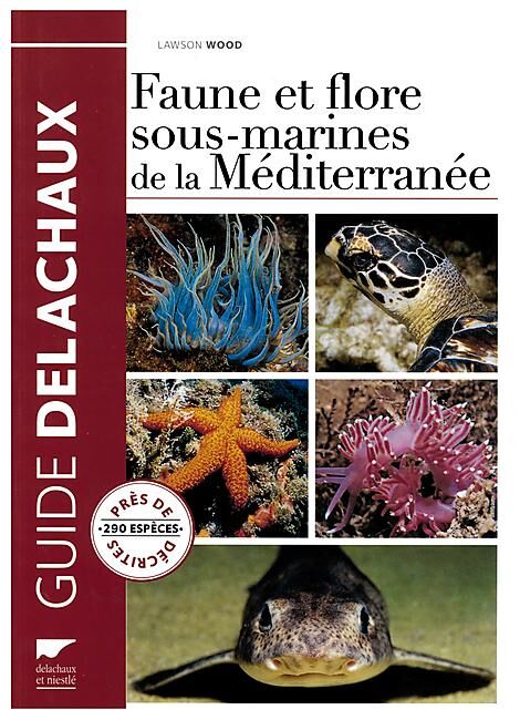 VOLUMEN - FAUNE FLORE SOUS MARINE MEDITERRANEE