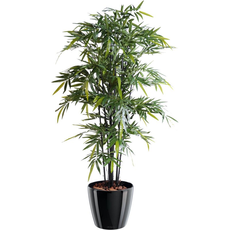 Plante artificielle d'intérieur Bambou à 9 cannes naturelles noires 175 cm