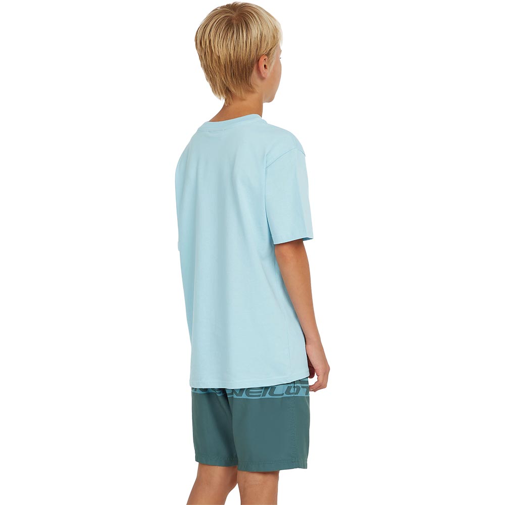 O'Neill O'Neill Cali Stripe 14