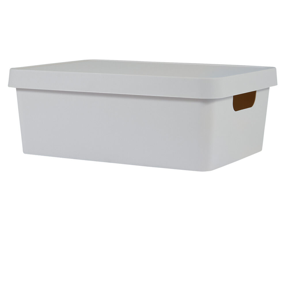 Boîte de rangement avec couvercle beige 11 L