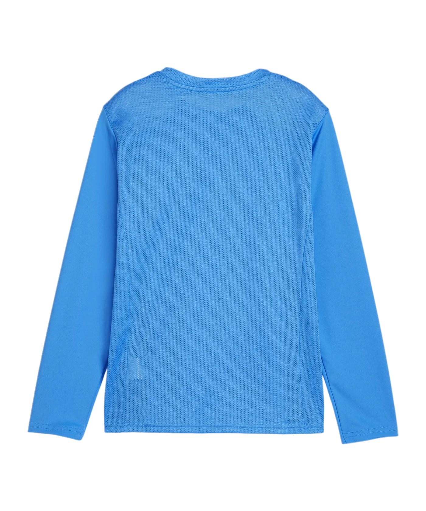 PUMA teamGOAL Trikot Langarm Kids Blau Weiss F02