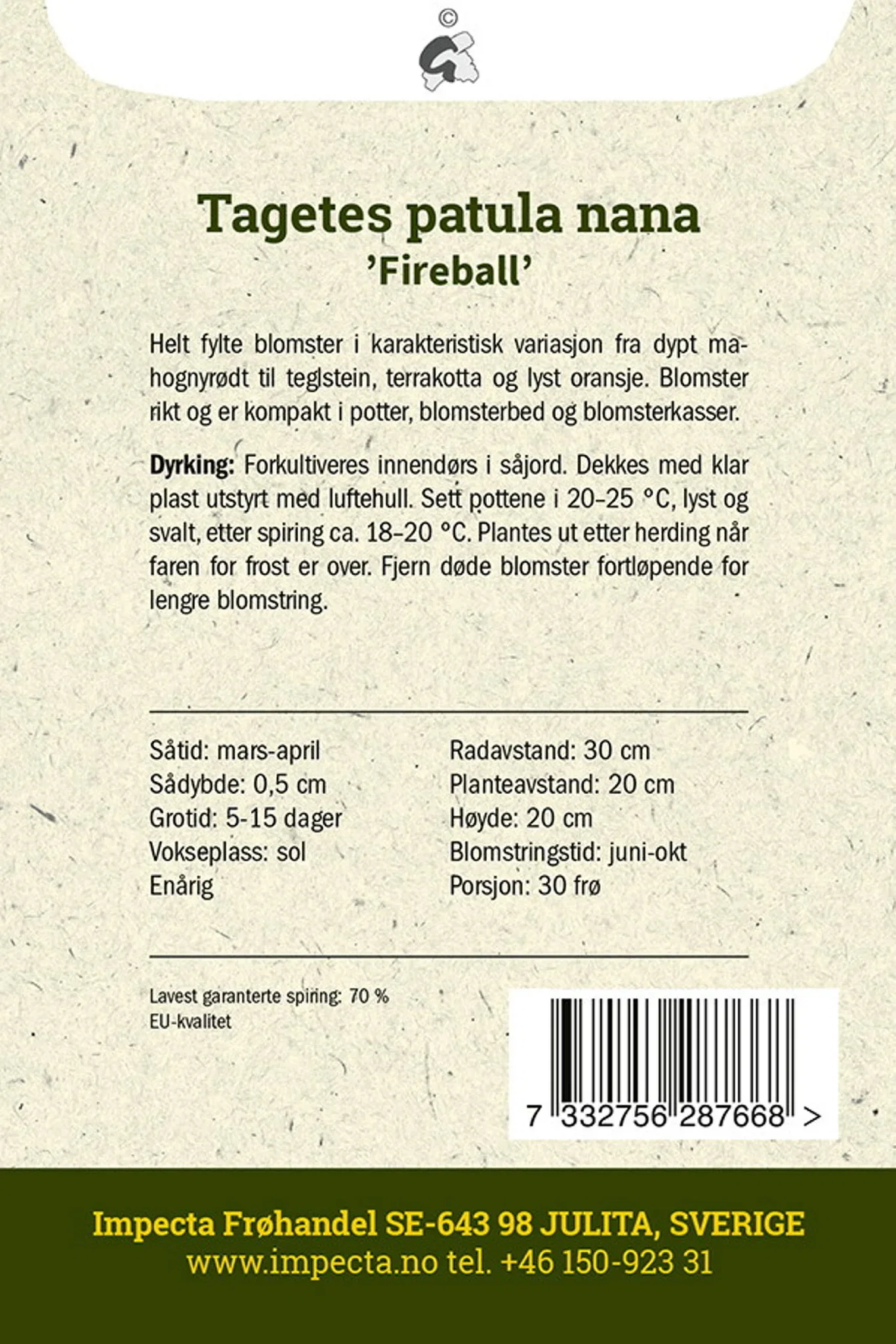 Tagetes patula nana 'Fireball' Fløyelsblomst 'Fireball'