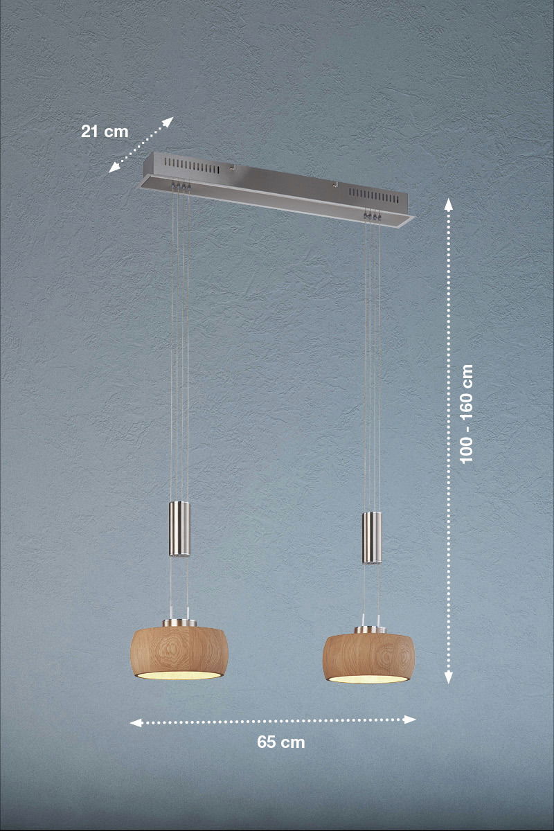 Fischer & Honsel Pendelleuchte SHINE-WOOD