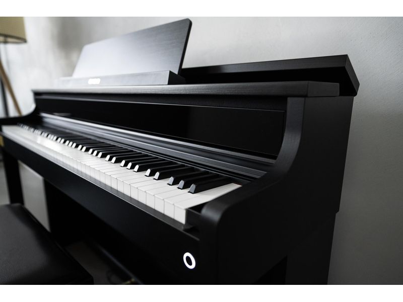 Casio E-Piano CELVIANO AP-750 E-Piano mit 88 Hammer Action Keyboard
