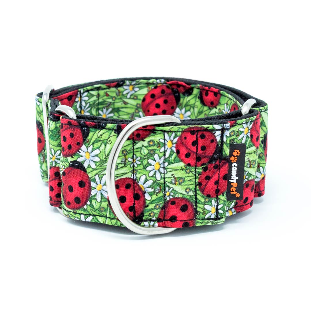 Coleira Martingale candyPet® para Cães - Design de Joaninha, EXTRA LARGA