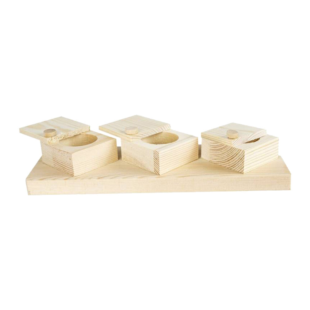 Back Zoo Nature Brain Trainer Cups