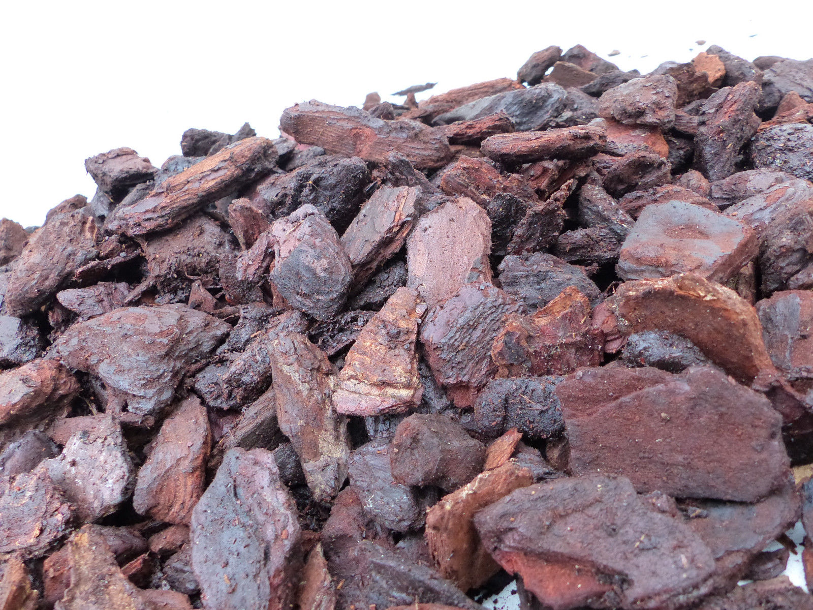 36 Sack: 70 Liter Premium Pinienrinde Bodengrund 20-40 mm 1 Palette