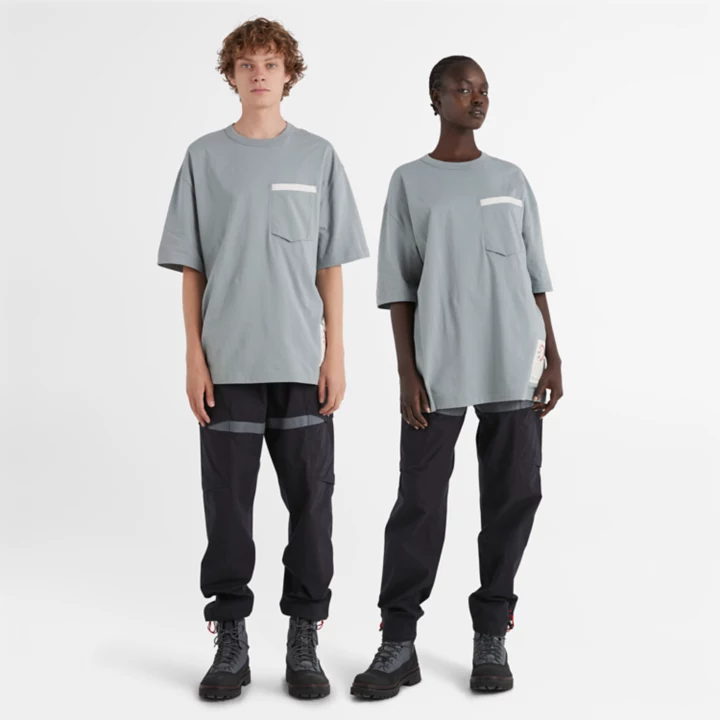Camiseta Timberland x Raeburn na cor cinza