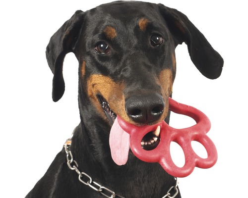 Hondenspeelgoed Bama Pet Ring Orma Big 16,5 cm willekeurige kleurselectie
