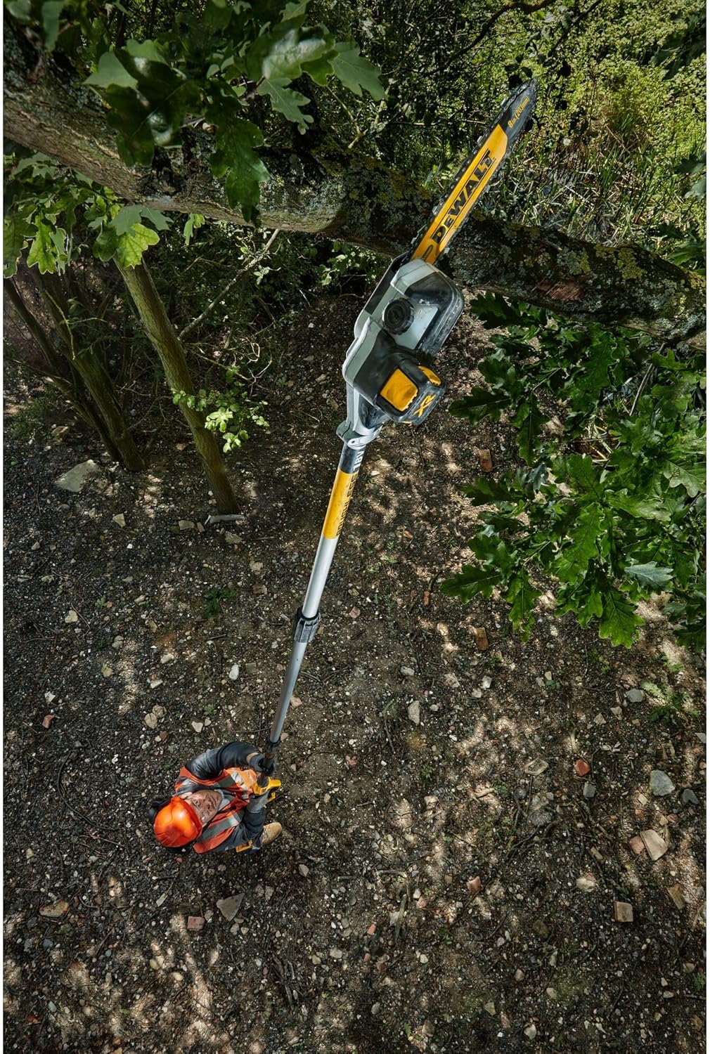 Dewalt 18V Akku-Hochentaster DCMPS567N (bürstenlos, bis zu 3 Meter Arbeitslänge, Schwertlänge 20cm, automatische Kettenschmierung, inkl. Zubehör, Lieferung ohne Akku & Ladegerät)