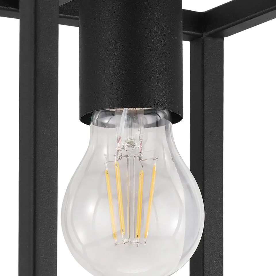 EGLO Eldrick Plafondlamp - E27 - 20 cm - Zwart
