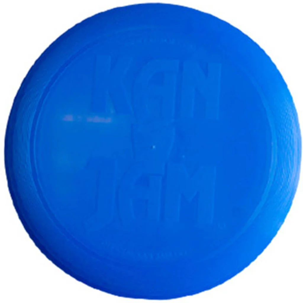 Disc 29 cm (blauw)