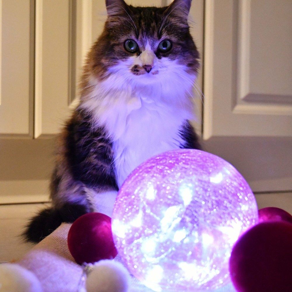 Boule hélios rose - led blanche - chromex