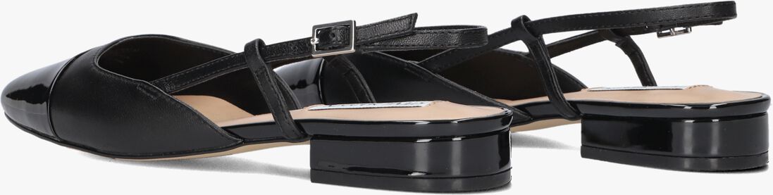 STEVE MADDEN zwarte steve madden  belinda