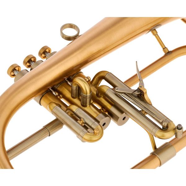 Adams F2 GM Selected 055 170 BL