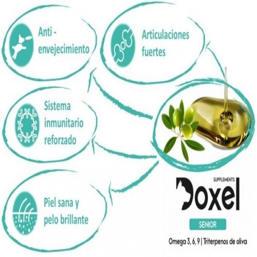 Óleo Ômega 3, 6, 9 Doxel Senior Anti-inflamatório para Suporte Articular Sabor Natural