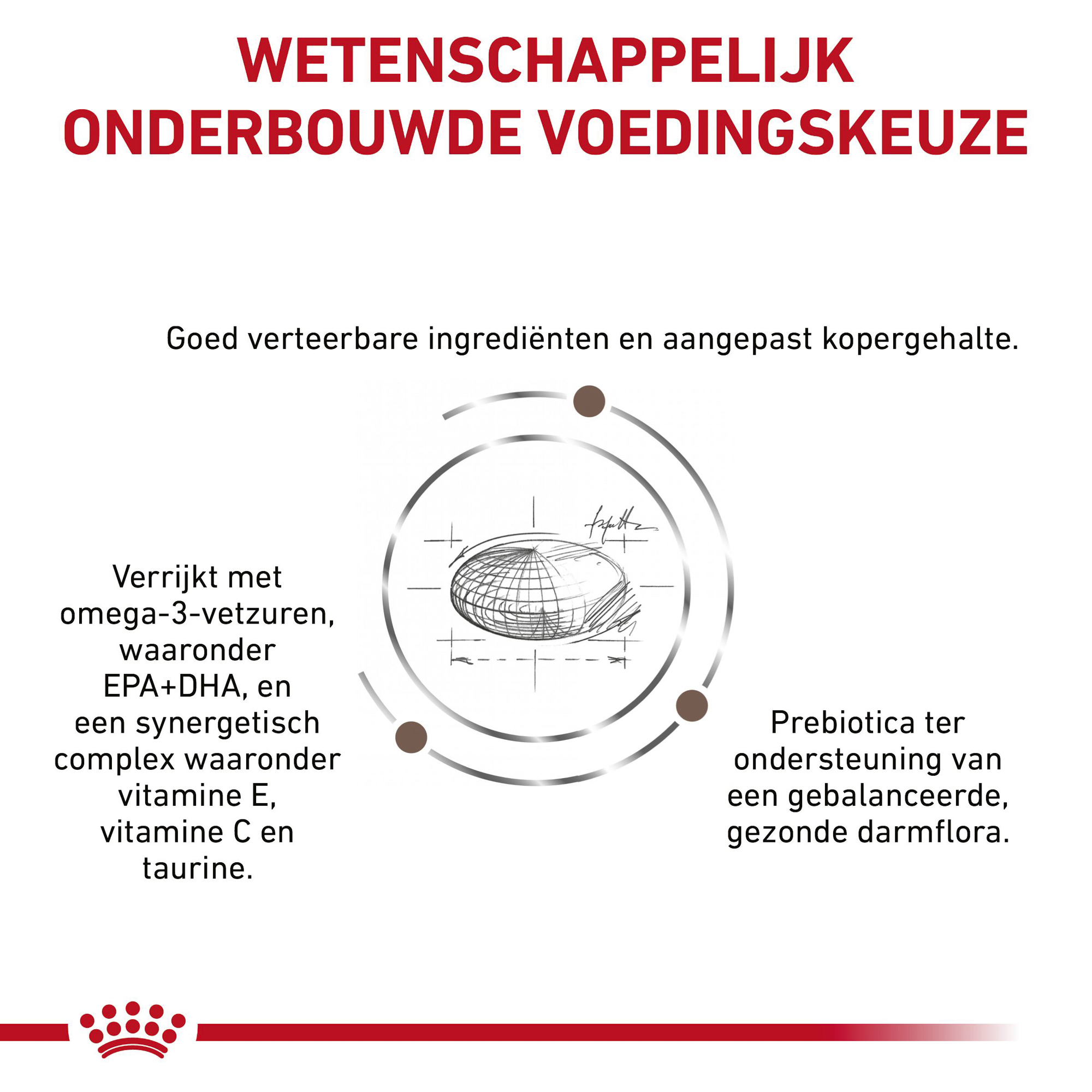 Royal Canin Hepatic Kat