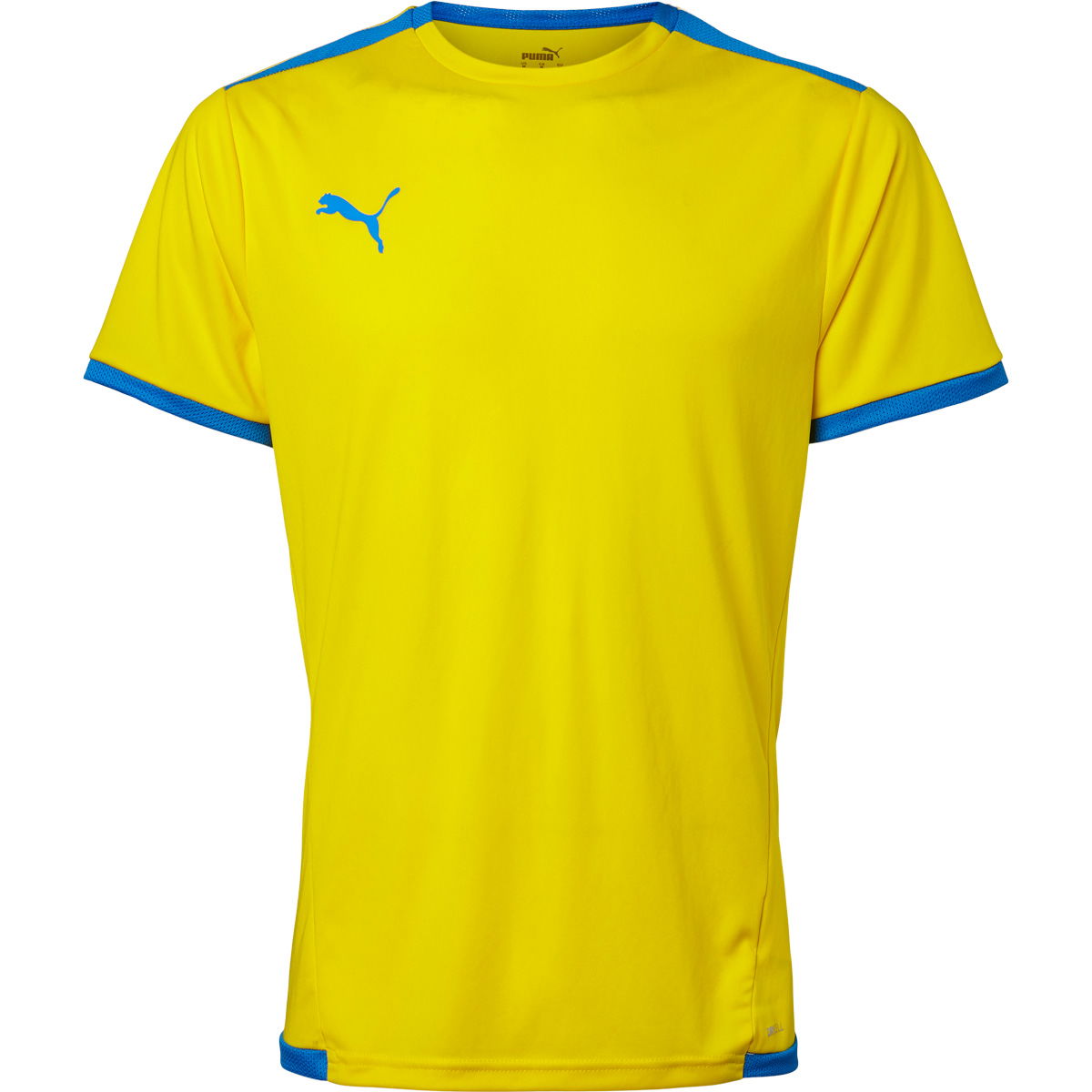 Puma teamLIGA Trænings T-shirt Herre