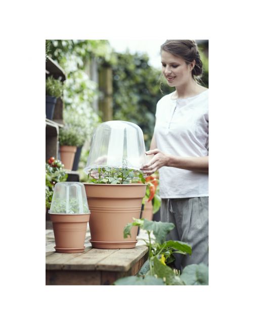 Elho Green Basics Kweekhuis Rond - Kweekbenodigdheden - Ø17x13.8 cm Transparant