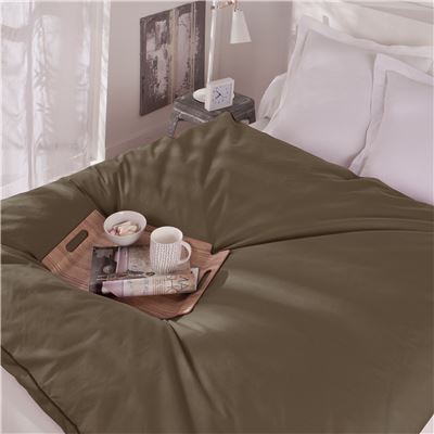 Plumon duvet et plumettes d'oie et de canard - tempéré ou chaud