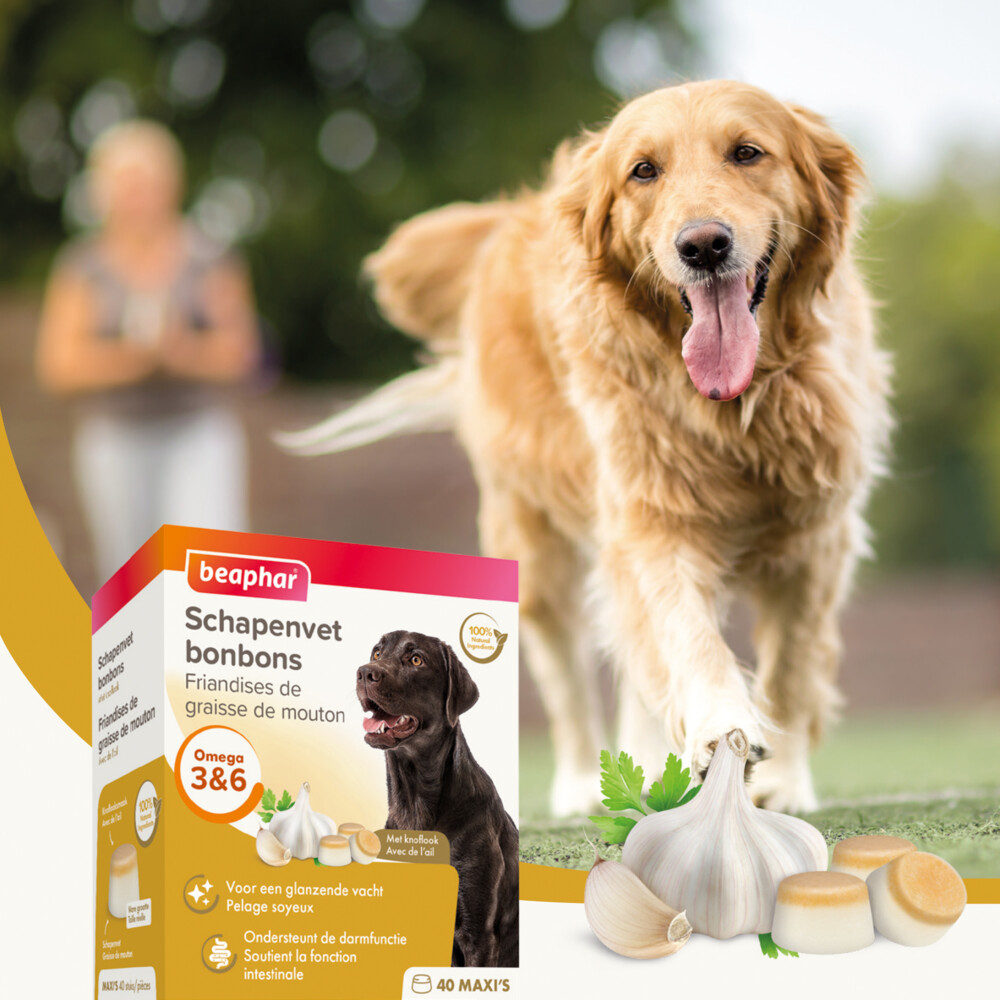 Beaphar Schapenvet Bonbons Knoflook245 gr