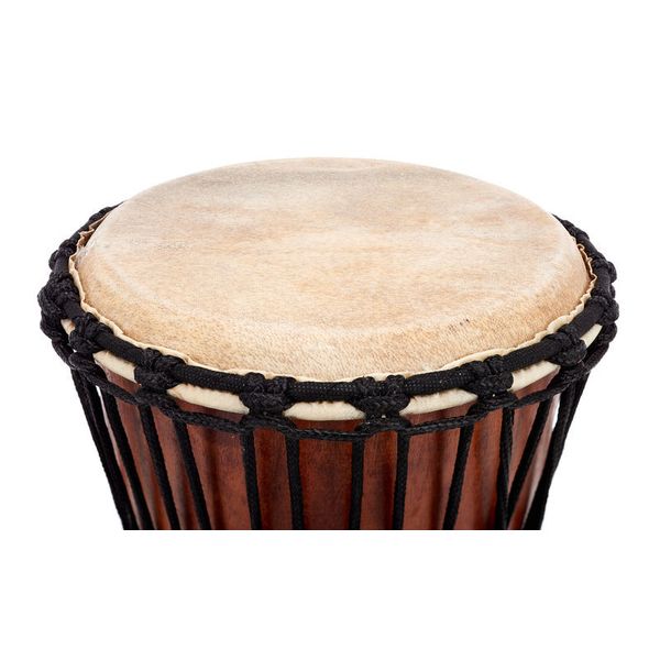 Terre Djembe Carved Dragon 50cm