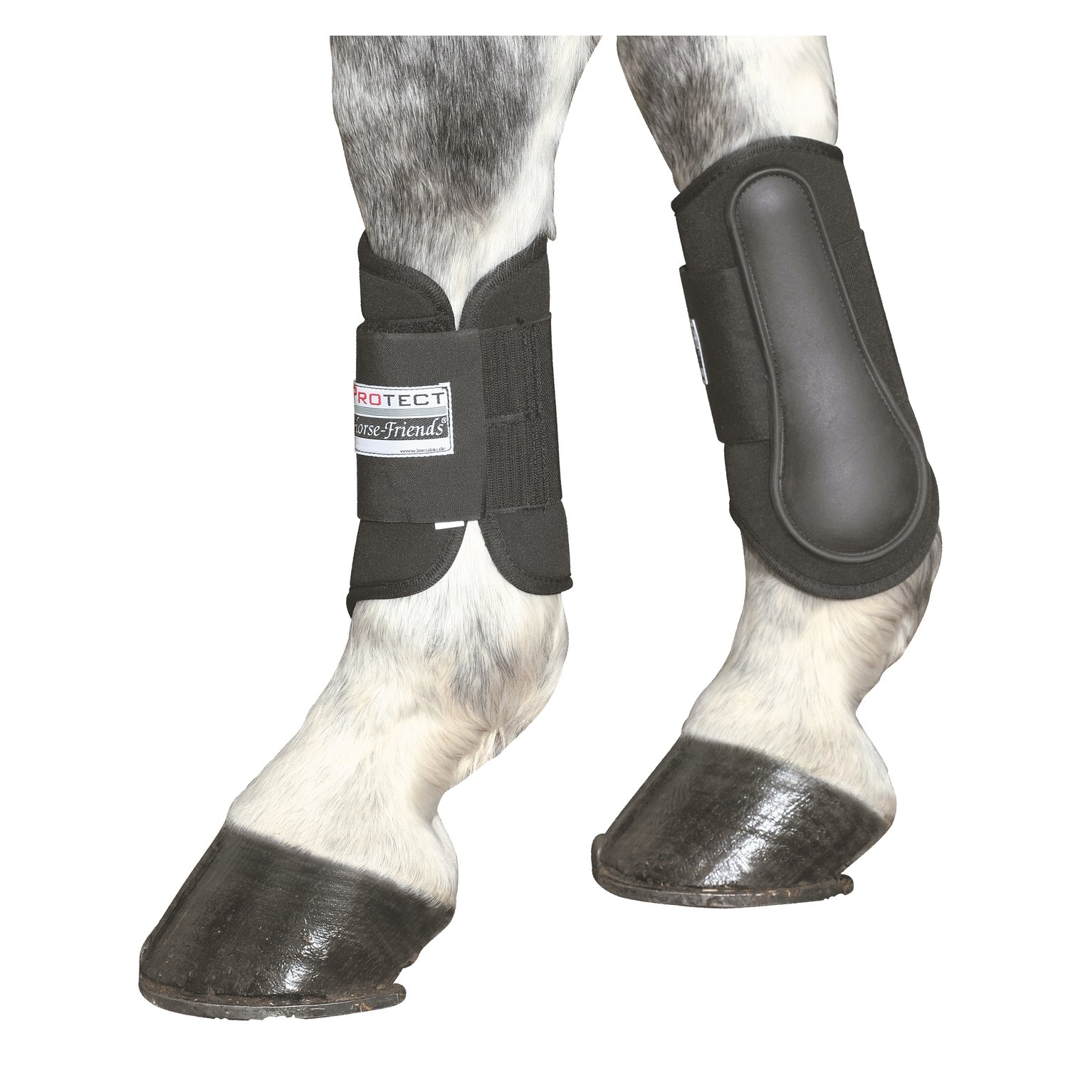 PROTECT by Horse-Friends Hippopren-Gamasche, vorne  - schwarz