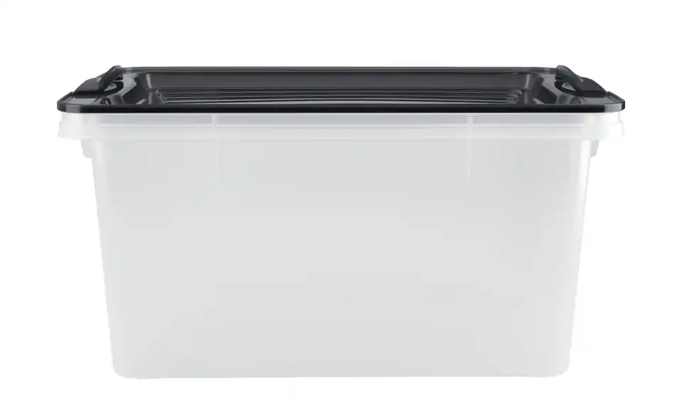 Rotho Aufbewahrungsbox mit Deckel