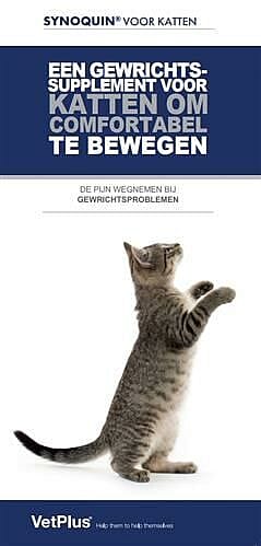 Vetplus Synoquin EFA Gewrichten Kat 90 capsules | 13821.1