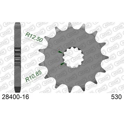 Kit chaine AFAM 530 Type Acier